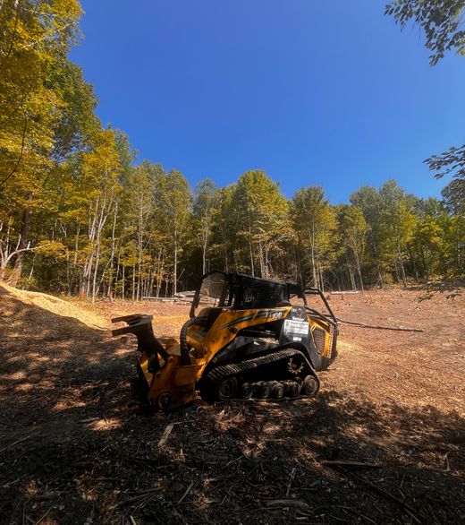 Brush clearing in Central Vermont